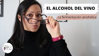 🚩EL ALCOHOL DEL VINO 🍷  La fermentación alcohólica y las levaduras [upl. by Dannye560]