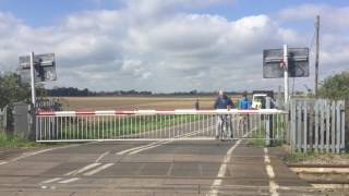 Dodgy Alarm Watlington Road Level Crossing Norfolk Sunday 02042017 [upl. by Macguiness709]