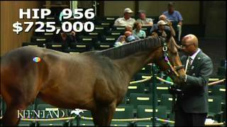 Hip 956 Sells for 11 million [upl. by Lamori]