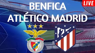 BENFICA x ATLÉTICO DE MADRD  EM DIRETO LIGA DOS CAMPEÕES FASE LIGA [upl. by Adai]