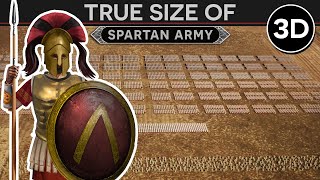 True Size of a Spartan Army c 430 BC 3D DOCUMENTARY [upl. by Atiner776]