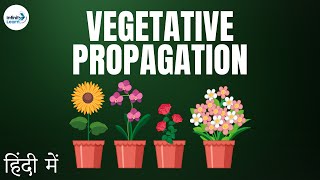 Reproduction  Lesson 13  Vegetative Propagation Introduction  in Hindi हिंदी में [upl. by Ahtelahs]