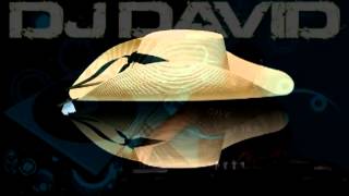 zapateado calentano mixdj davidmp4 [upl. by Ynottirb417]