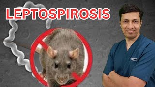 Leptospirosis lecture in hindi Leptospirosis treatment Weils disease in hindi [upl. by Ettezil]