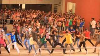 FLASHMOB 2014  VERVE 14 OVERHEAT [upl. by Bazil]