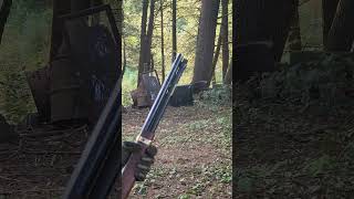 45 Long Colt VS TV levergun cool Bottomline [upl. by Nickerson]