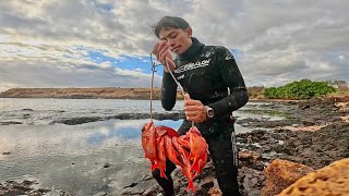 Hawaiian Solo Spearfishing 4 Menpachi  A Murky Omilua [upl. by Nagaer225]