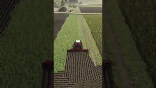 Plowing  Farming Simulator 25 [upl. by Laekim]