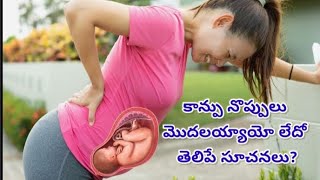 కాన్పు నొప్పులు మొదలయ్యాయో లేదో తెలిపే సూచనలుSigns of labour [upl. by Shelburne762]