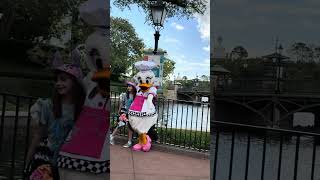 Daisy Duck EPCOT Food and Wine shorts [upl. by Euqinomad]