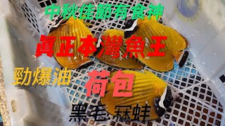 中秋假期入西貢搵到啲本灣魚仔出面街市都冇選擇大多數飛機貨 荷包魚 冧蚌 黑毛 [upl. by Nevai991]