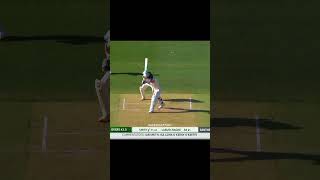 Steve Smith Against New Zealand Part 3 shorts [upl. by Brace460]