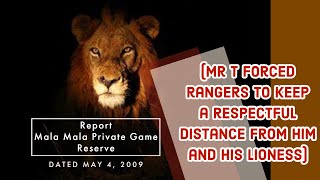 Mr T forced rangers to keep a respectful distance [upl. by Akenor]