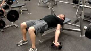 Lying Dumbbell Curls [upl. by Tshombe]