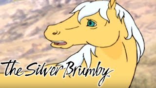 The Silver Brumby  Episode 26  Golden Returns  HD  Full Episode  Cartoons For Kids [upl. by Seerdi]