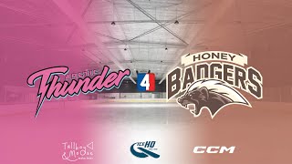 Arctic Thunder v Honey Badgers  Div 4  27th November  IceHQ Rec League ice hockey [upl. by Lauhsoj]