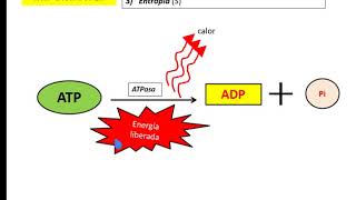 BIOENERGETICA  BIOQUIMICA energía libre entalpía entropía [upl. by Attenaj]