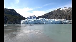 Alaska Cruise 2019  Golden Princess  Princess Cruises  Anchorage to Vancouver [upl. by Edahs172]