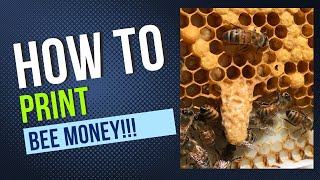 Beekeeping How To Beginner Queen Rearing [upl. by Barbour]