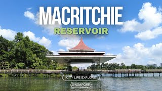 Nature Trekking MacRitchie Reservoir Singapore City [upl. by Iras]