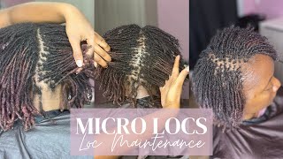 9 12 HOURS LATER  Micro Locs Loc Maintenance  Start To Finish [upl. by Tranquada154]