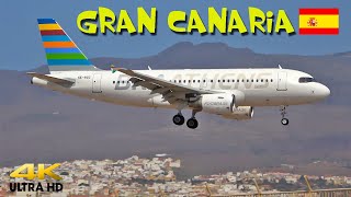 Las Palmas planespotting in 4K  Summer 2023 [upl. by Odracer]