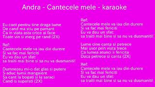 Andra  Cantecele mele  karaoke [upl. by Tnarg463]