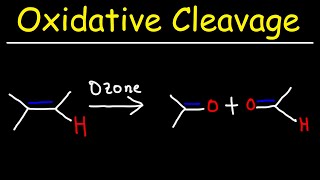 Oxidative Cleavage of Alkenes  KMnO4 and Ozonolysis [upl. by Enail]