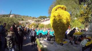 Corso fleuri BORMES LES MIMOSAS 2017 [upl. by Bambie]