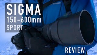 Sigma 150600mm Sport  My own experience with a hired lens [upl. by Hanni860]