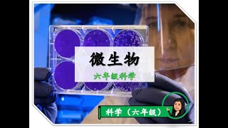 【六年级科学】 ｜ 第三课《微生物》｜附送笔记 [upl. by Aztinad]