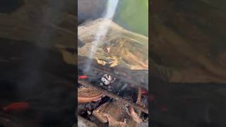 Grilled Blue Marlins Head marang food youtube shortvideo short thankyouforwatching [upl. by Akissej]