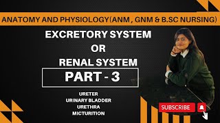 ureter urinarybladder urethra renalsystem excretorysystem nursing bscnursing anm gnm [upl. by Coughlin815]