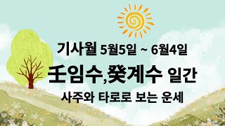 5월운세 기사월운세 임수일간계수일간 사주운세2024년 갑진년 타로운세 [upl. by Newmark135]