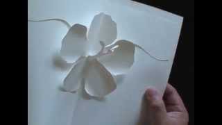 SCRAPBOOKING HIBISCUS Kirigami Popup Card [upl. by Conti]