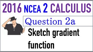 2016 NCEA 2 Calculus Exam Q2a [upl. by Chrisoula]