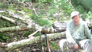 Adirondack Bear Hunt with Alonzo Selden Rifle and Blunderbuss [upl. by Jehiah]