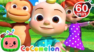 What is my name Song 1 HOUR COMPILATION  Animal Time  CoComelon Nursery Rhymes amp Kids Songs [upl. by Johansen]