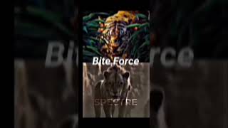 Shere Khan vs Scarfull potential [upl. by Bridgette]