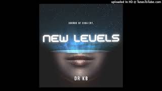 Dr Kb  New Levels Original Mix [upl. by Arihsa476]