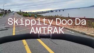 Skippity Doo Daa AMTRAK [upl. by Suanne664]