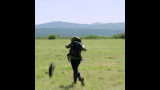 bear Grylls with lion  running wild with bear Grylls Man Vs wild [upl. by Soinski118]