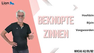 Wat is een beknopte zin  niveau A2B1B2 [upl. by Dionisio317]