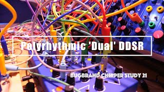 Bugbrand Chirper Study 21  Polyrhythmic Dual DDSR [upl. by Orimar]