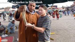 Snake charmer in Morocco [upl. by Aitra493]