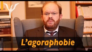 Agoraphobie les questions et surtout les réponses pour tous les agoraphobes [upl. by Toulon]