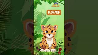 Wild Animal English Safari Learn English with Exotic Animals [upl. by Amikahs784]