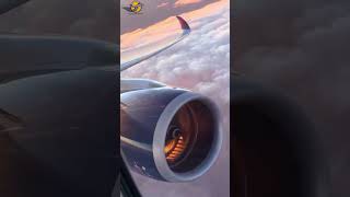 RealTime Airplane Status Where Are They Now ✈️🌍  aviation shorts short viralvideo pilot [upl. by Gellman]