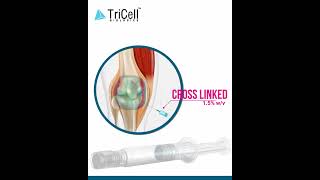 𝐕𝐢𝐬𝐜𝐨𝐇𝐞𝐚𝐥 𝐏𝐥𝐮𝐬™  TriCell Biologics  Cross Linked HA [upl. by Ettenowtna]