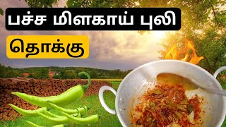 🌶️பச்சைமிளகாய் புளி தொக்குpachai milagai Puli thokkurecipe trending shivaniice [upl. by Brad937]